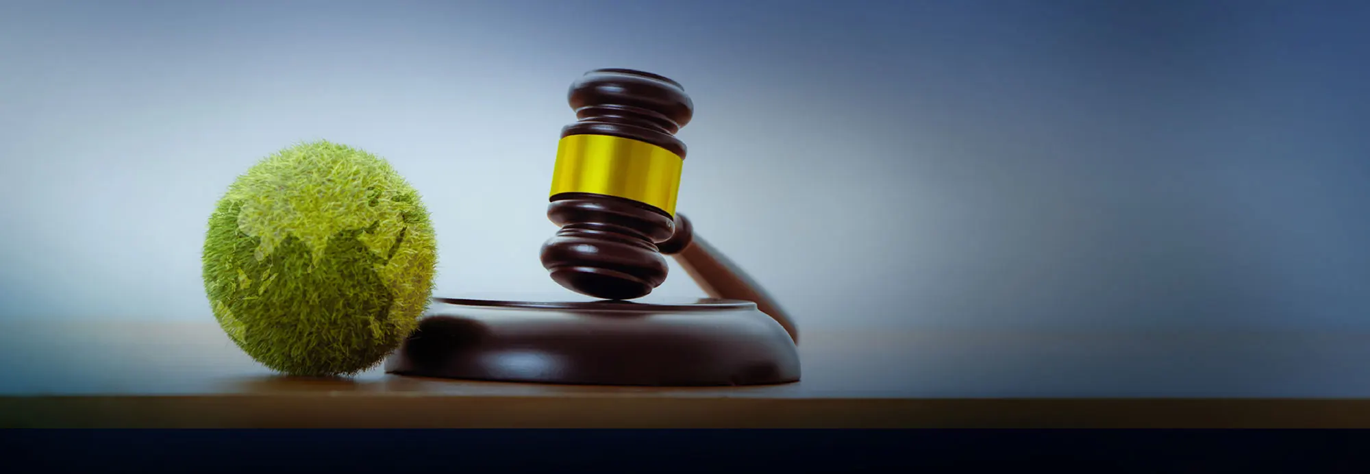 environmental-policy-and-sustainability-ar