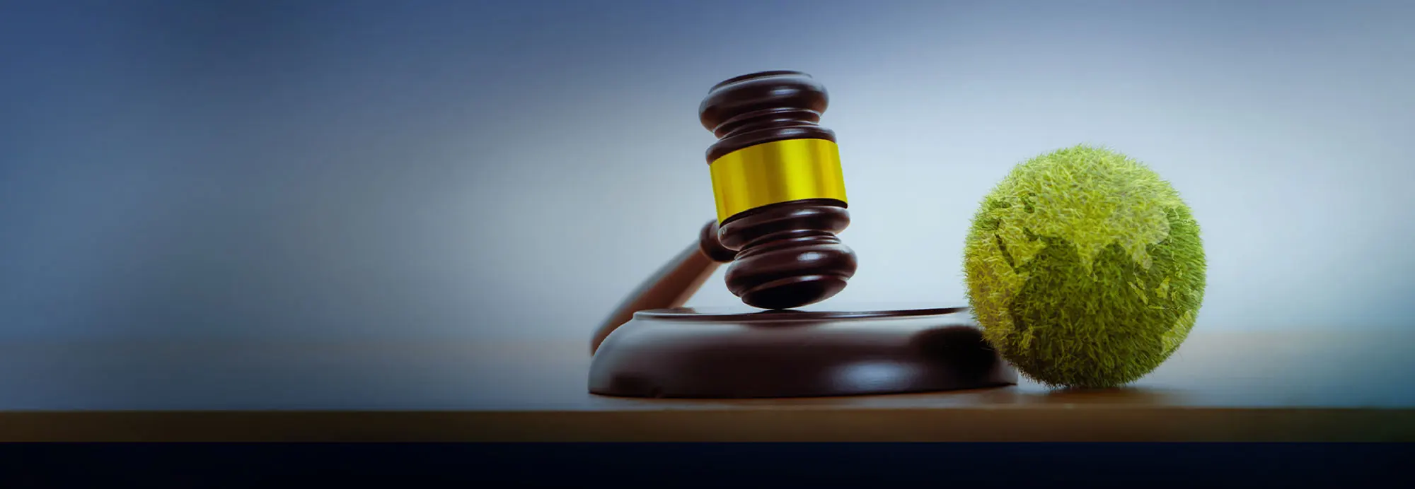 environmental-policy-and-sustainability