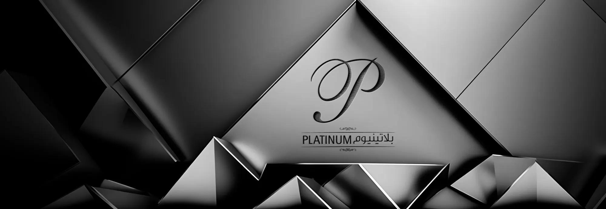 platinum-program_0